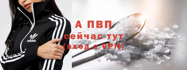 ПСИЛОЦИБИНОВЫЕ ГРИБЫ Пересвет