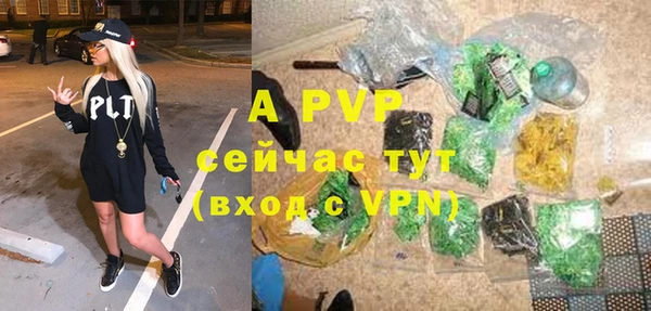 ПСИЛОЦИБИНОВЫЕ ГРИБЫ Пересвет