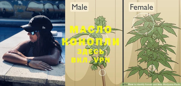 spice Кодинск