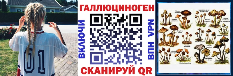 маркетплейс наркотические препараты  Кандалакша  Галлюциногенные грибы мицелий  как найти  
